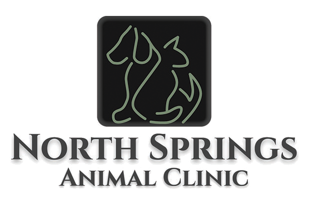 Contact Us - North Springs Animal Clinic